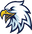 Team 5 logo